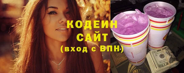 шишки Богородск