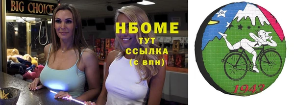 шишки Богородск