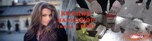 mdpv Богданович