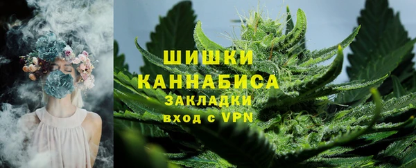 PSILOCYBIN Белоозёрский