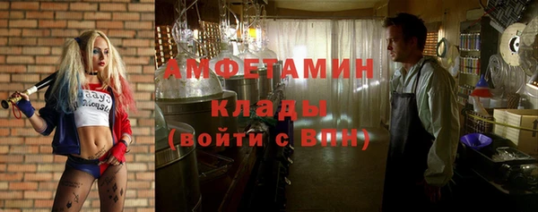 шишки Богородск